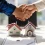 Wholesale Real Estate: Complete Beginner’s Guide to Getting Started